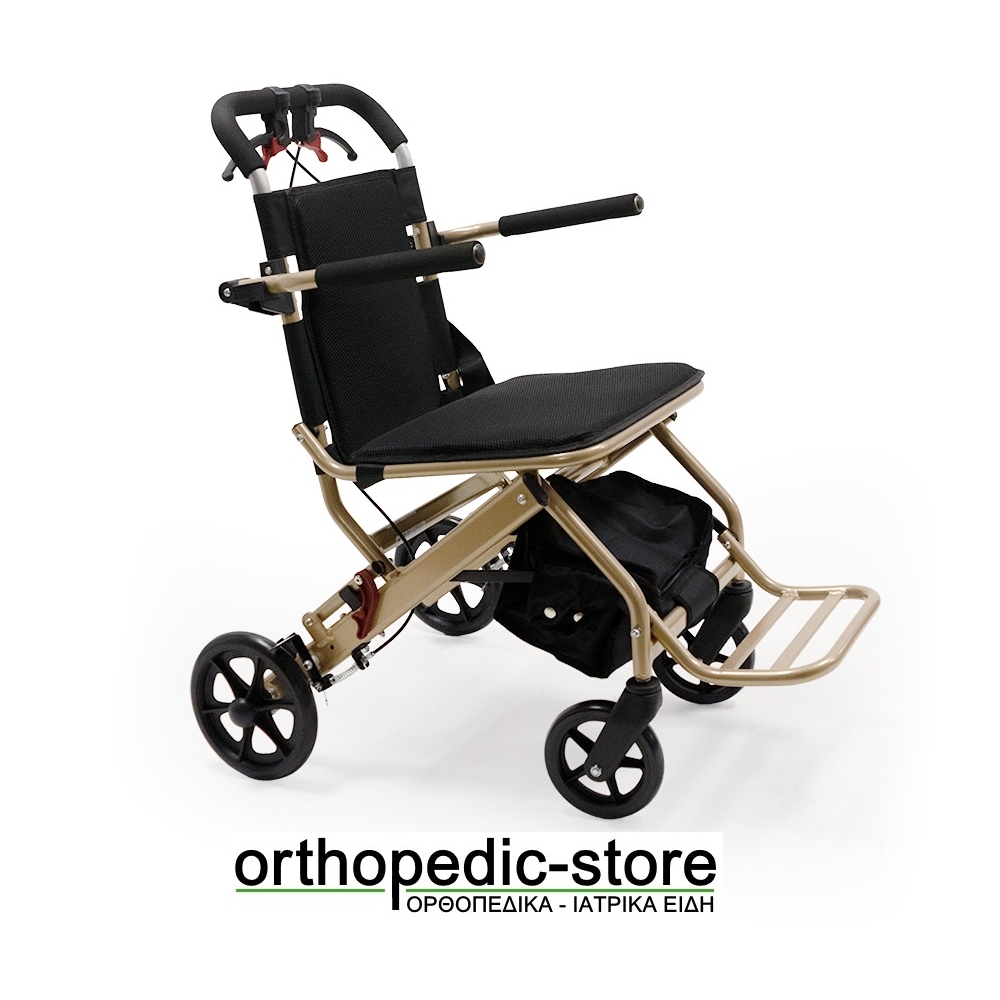 Αμαξίδιο Μεταφοράς Transporter 